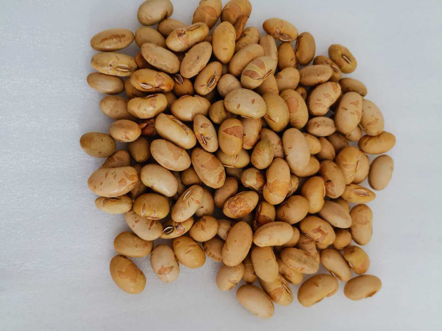 Hvordan kan ristet edamame fremme vækst i detailhandelskategorien