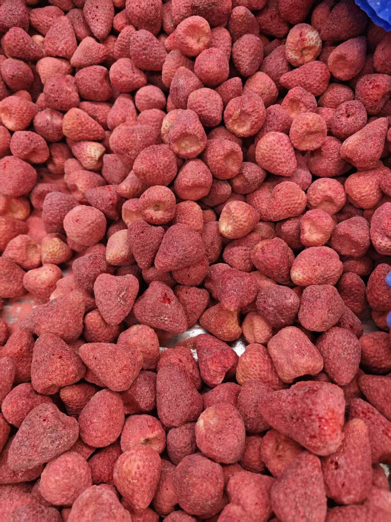 מגוון והנאה