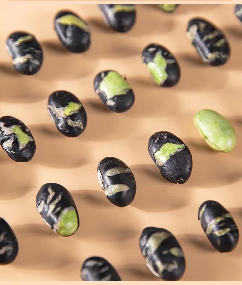 רשת הפצה מתקדמת