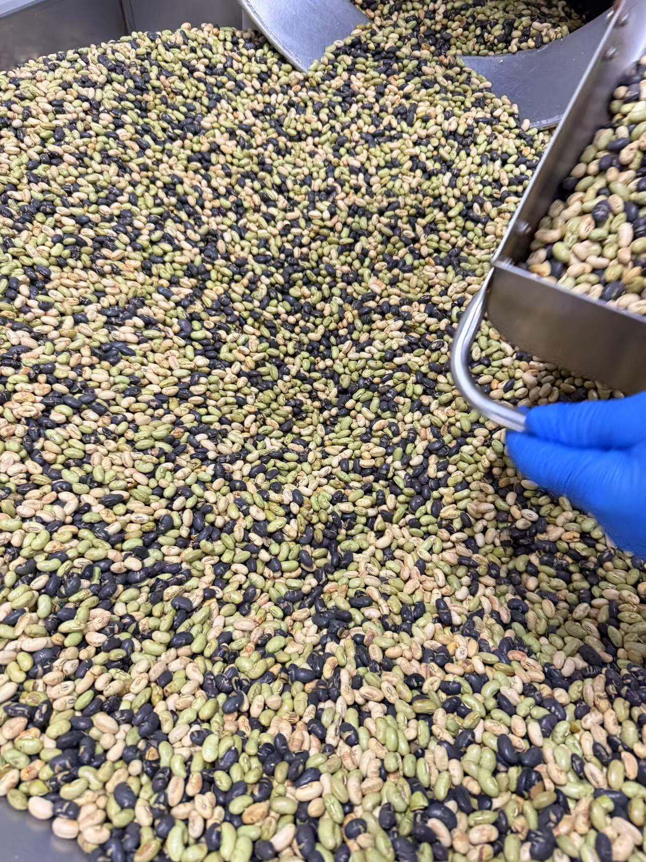 Advanced Roasting Technology