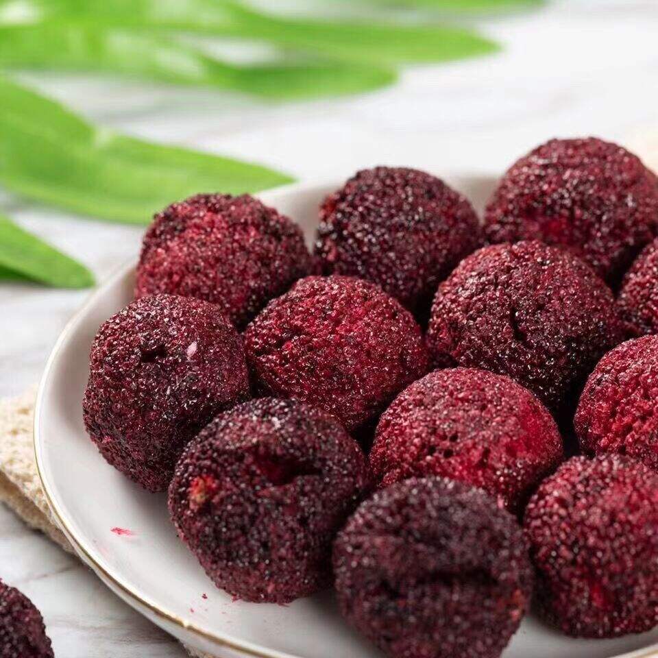 טכנולוגיהטכנולוגיה מתקדמת לשימור