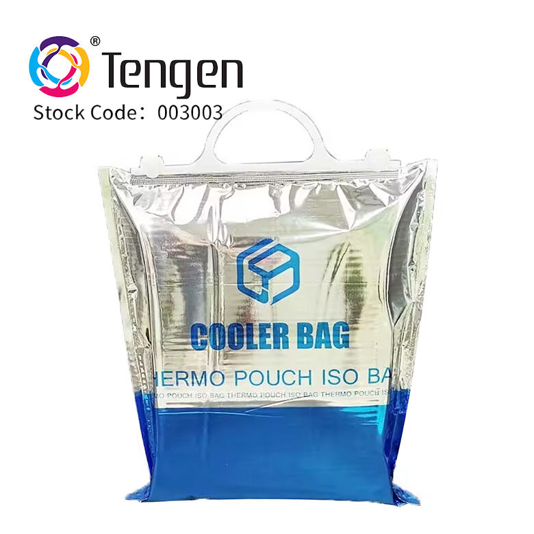 Insulated Cold Food Delivery Bags