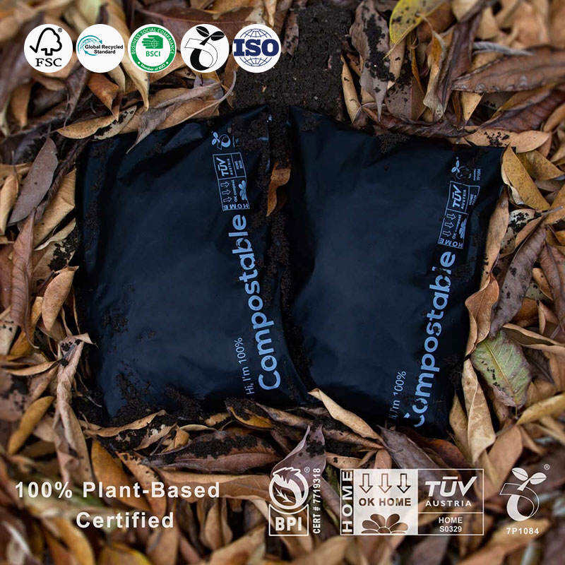 Biodegradable Bag Business