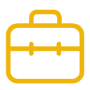 Professional Experience