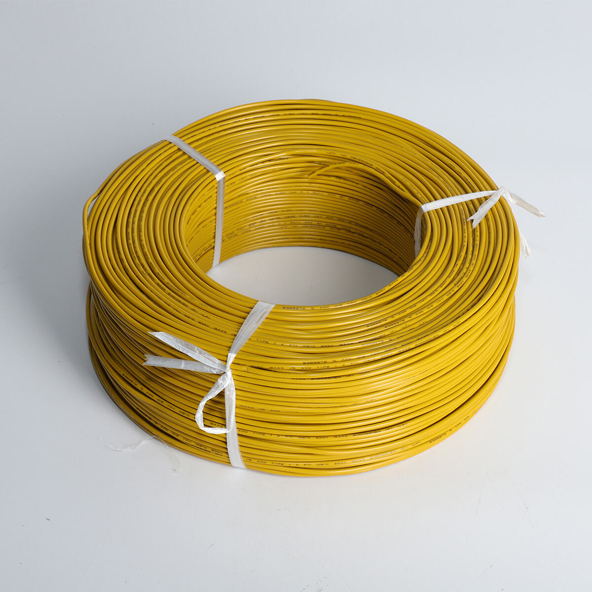 Technical Expertise and Application Support Services