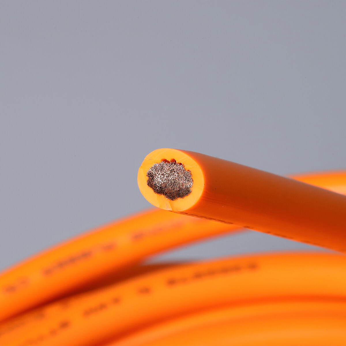 Comprehensive Technical Support and Application Expertise