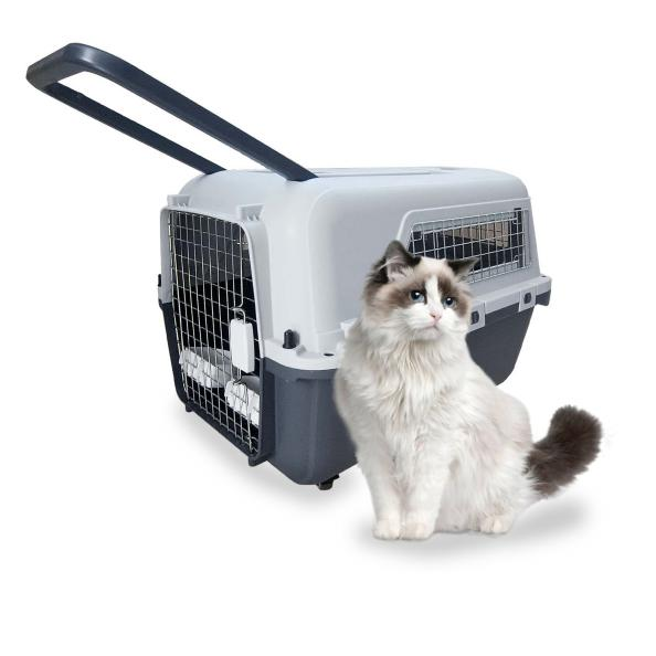 How to Use a Pet Carrier Bag