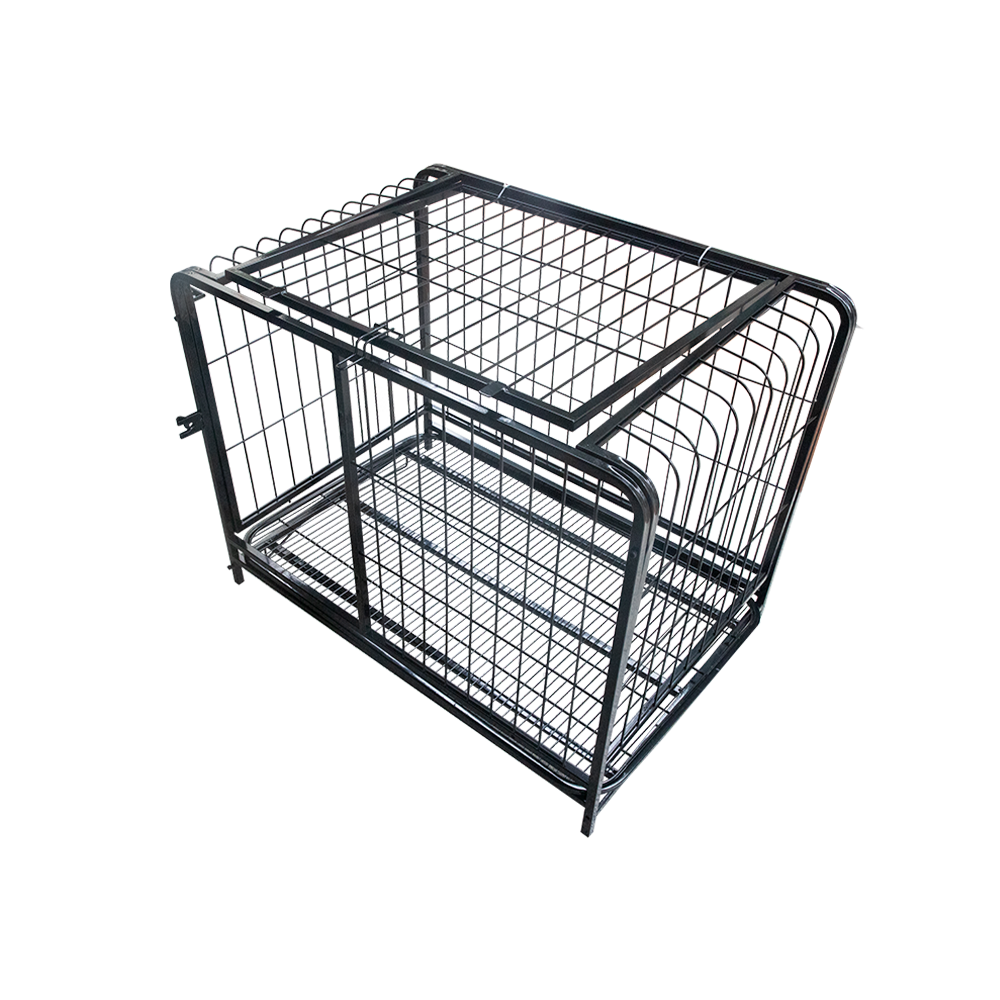 Advanced Maintenance and Cleaning System