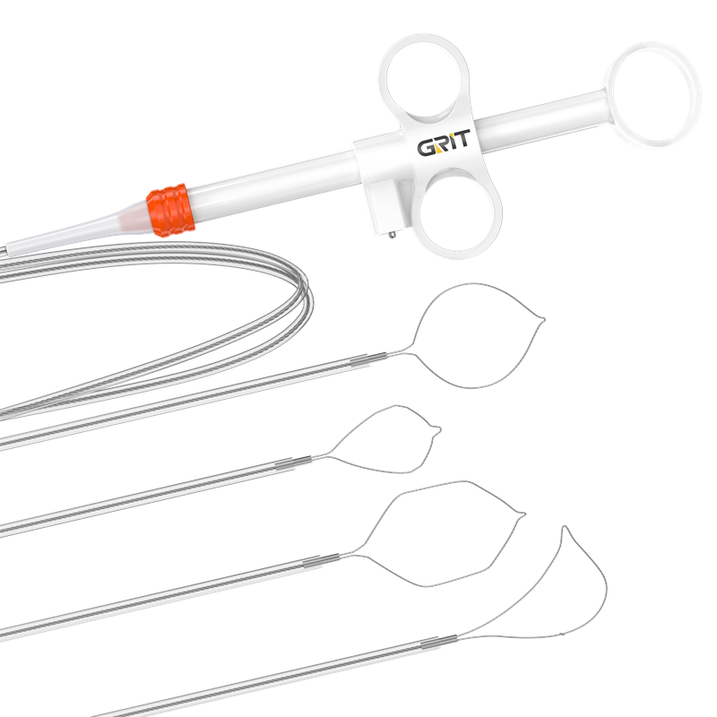 Disposable Polypectomy Snare