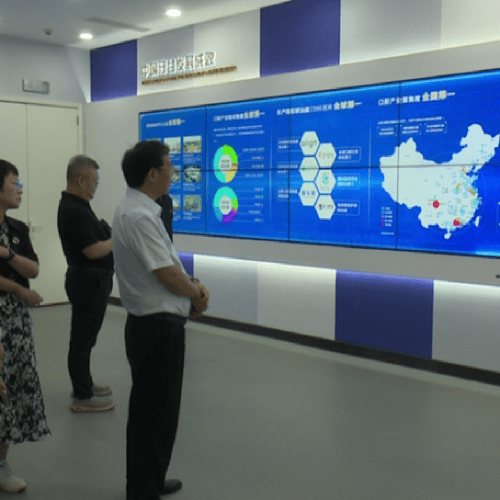 Experts in Stomatology Gather in Ziyang to Investigate the Development of China Dental Valley