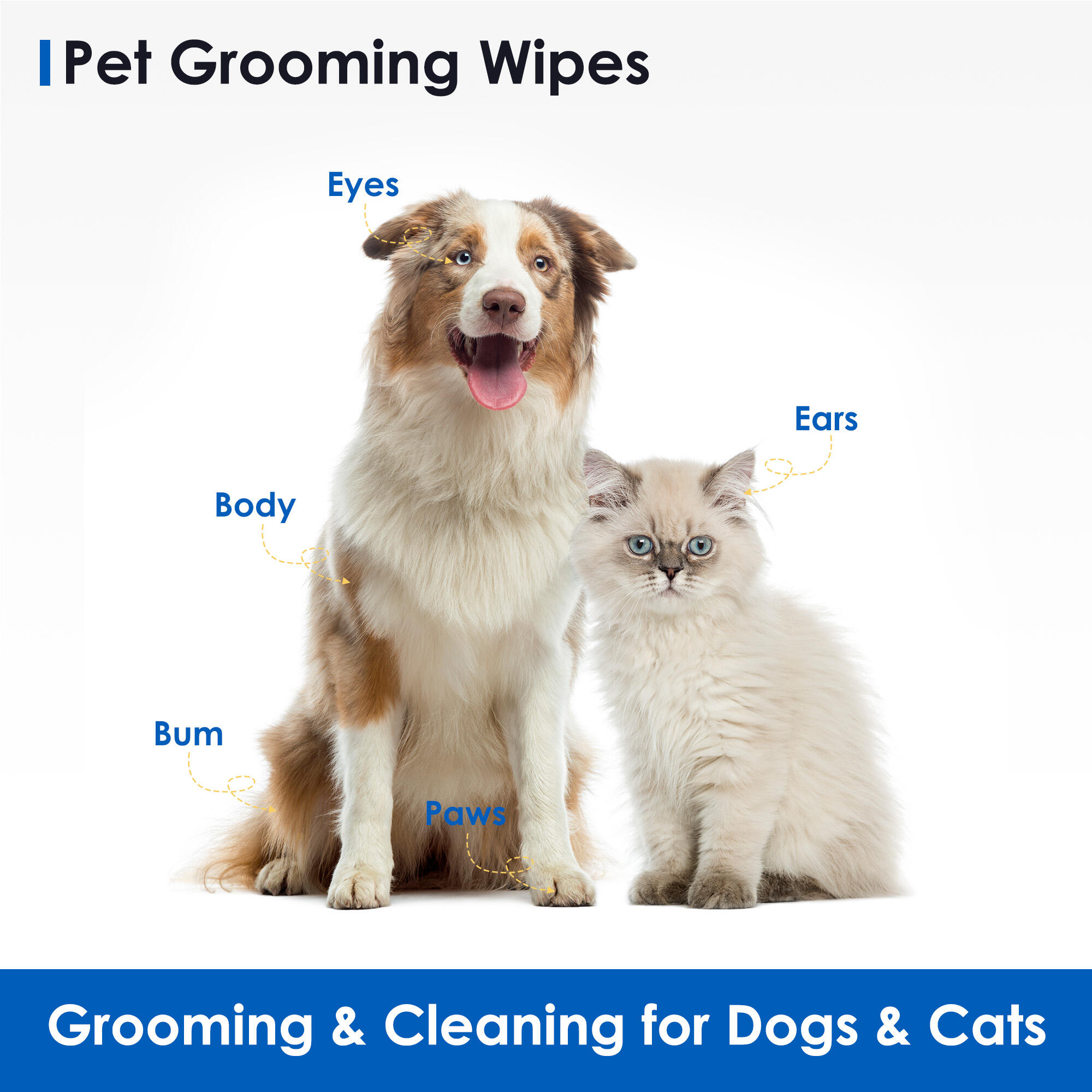 HygiCare Pet Wipes – The Perfect Solution for Bath-Free Grooming