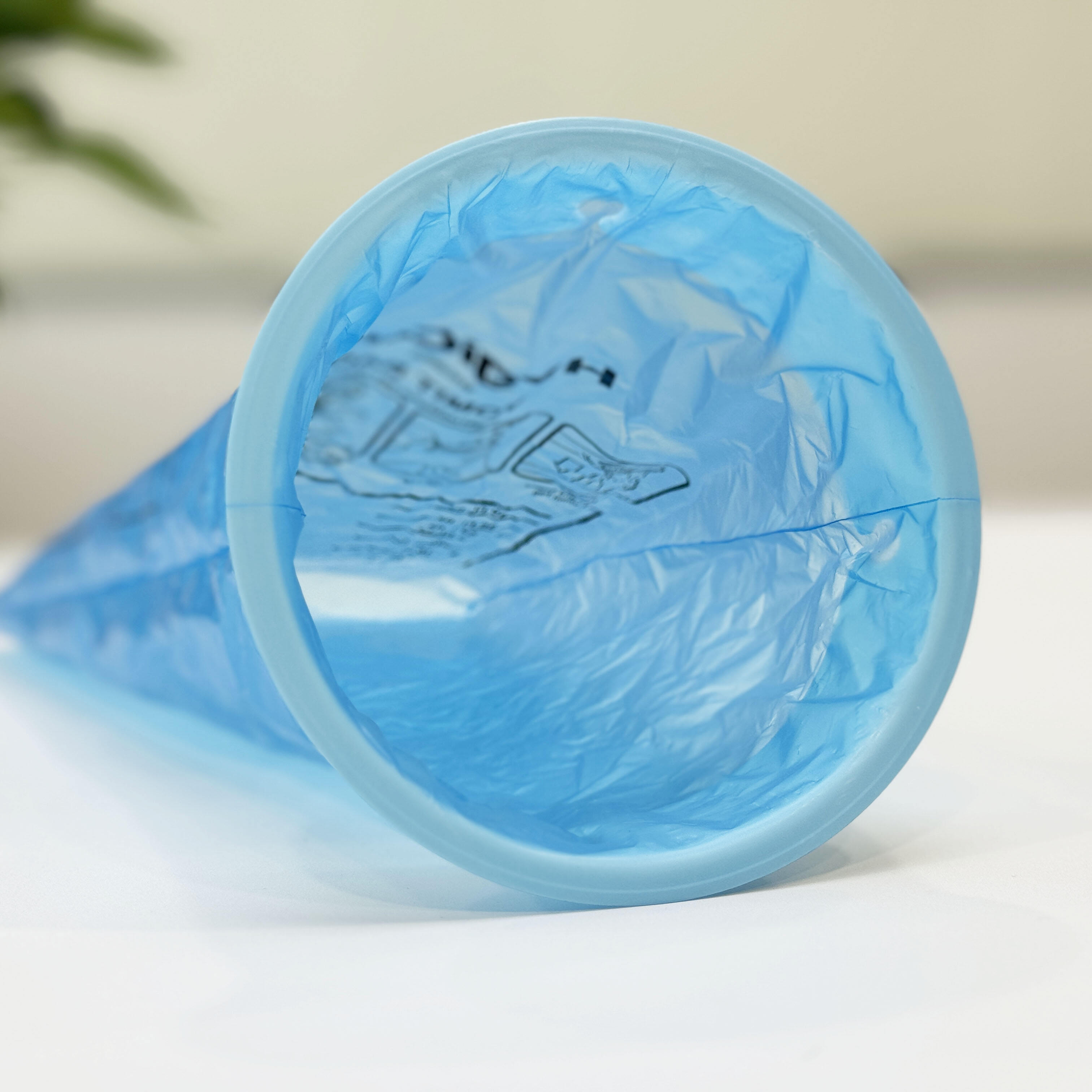 Commitment to Quality and Innovation