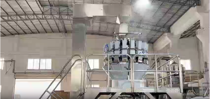 Packaging Machine System & Carton Opener
