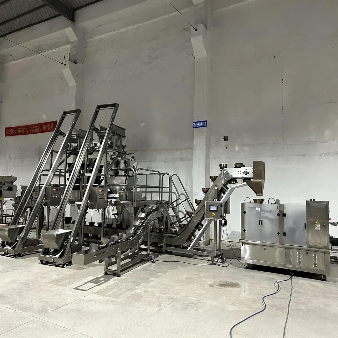 double conveyor system with rotary pouch machine