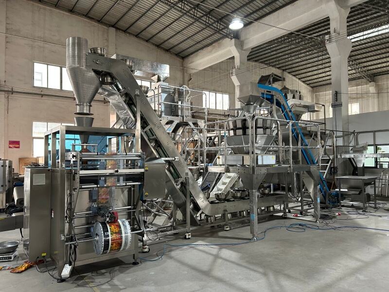 double conveyor system with VFFS machine