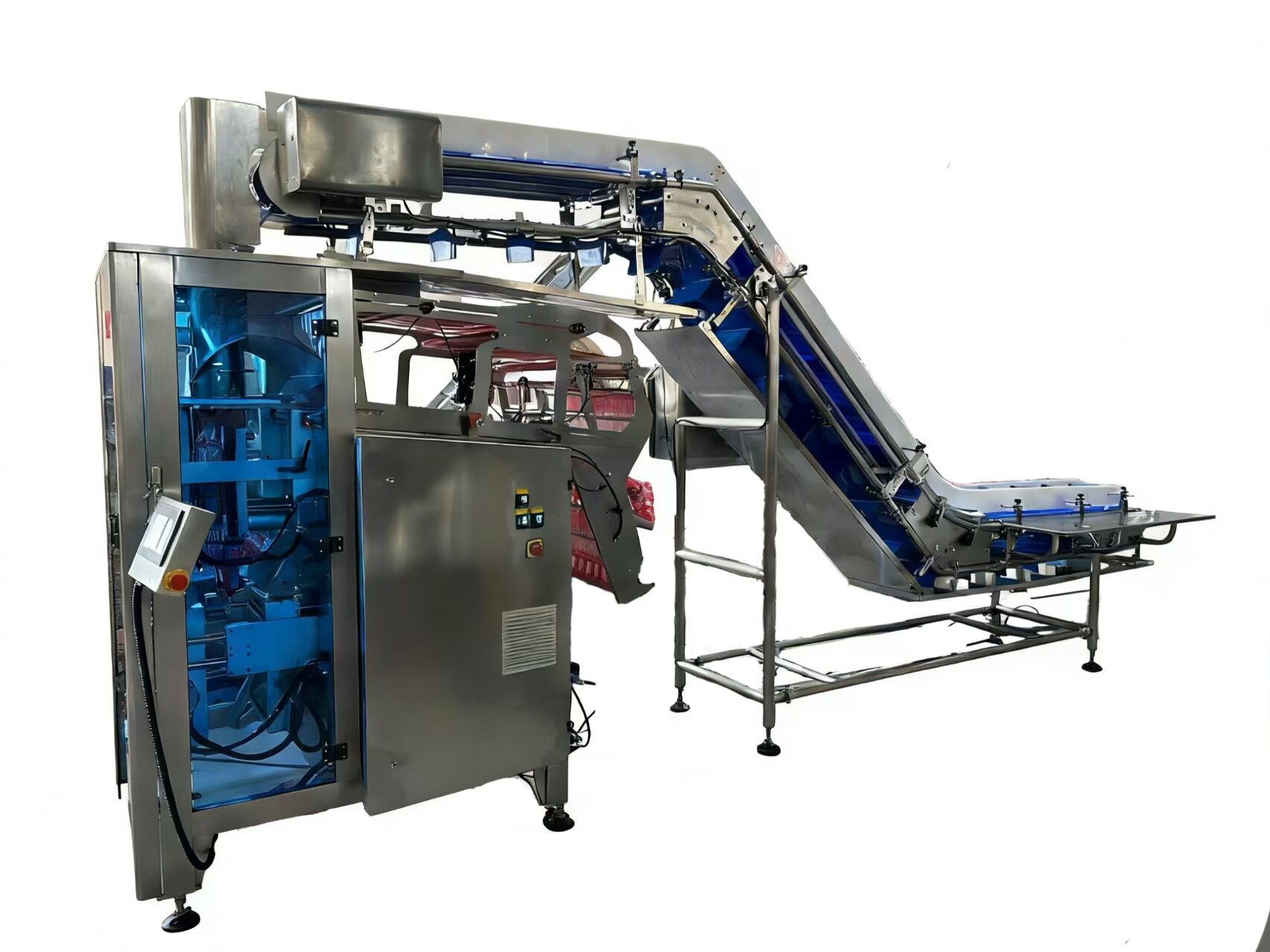 Vacuum chamber packaging machine
