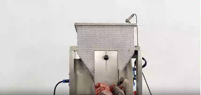 Single-Head Linear Scale - Weighs 100g of Bacon