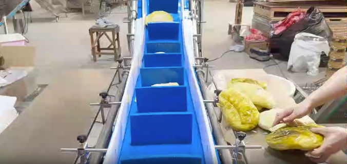 Sauerkraut Vacuum Packaging Machine