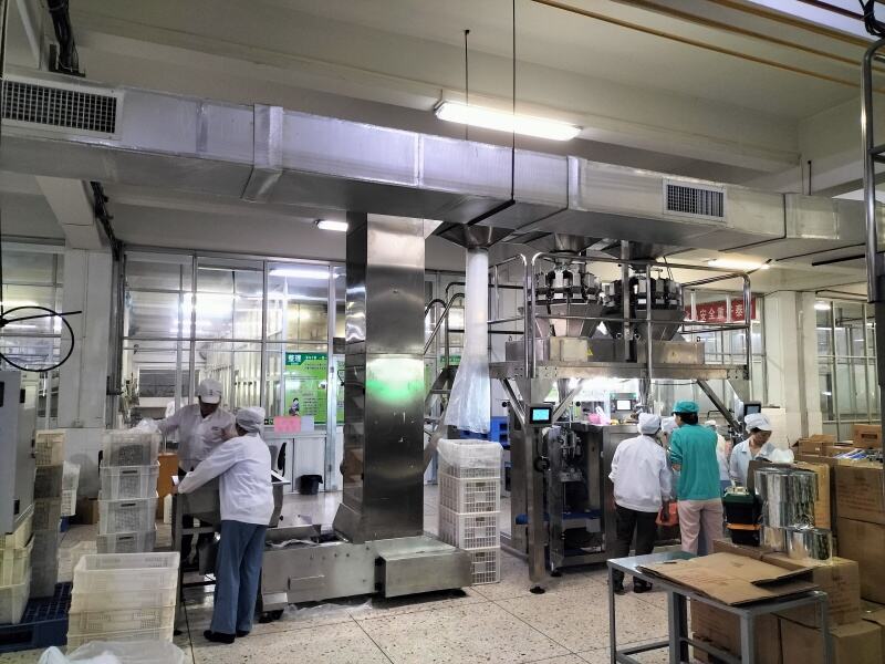 2 unit mini 14 head 0.5L weigher +twin VFFS system