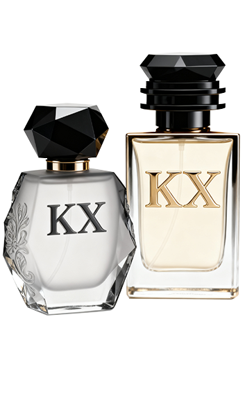 The mission and goals of KUAIXUN