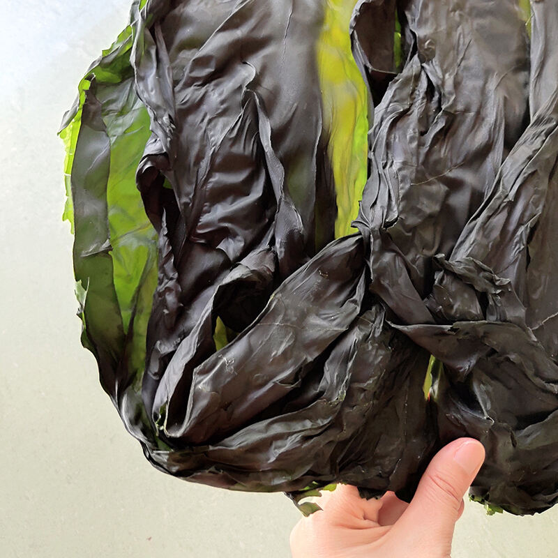 Organic dried kelp 50g