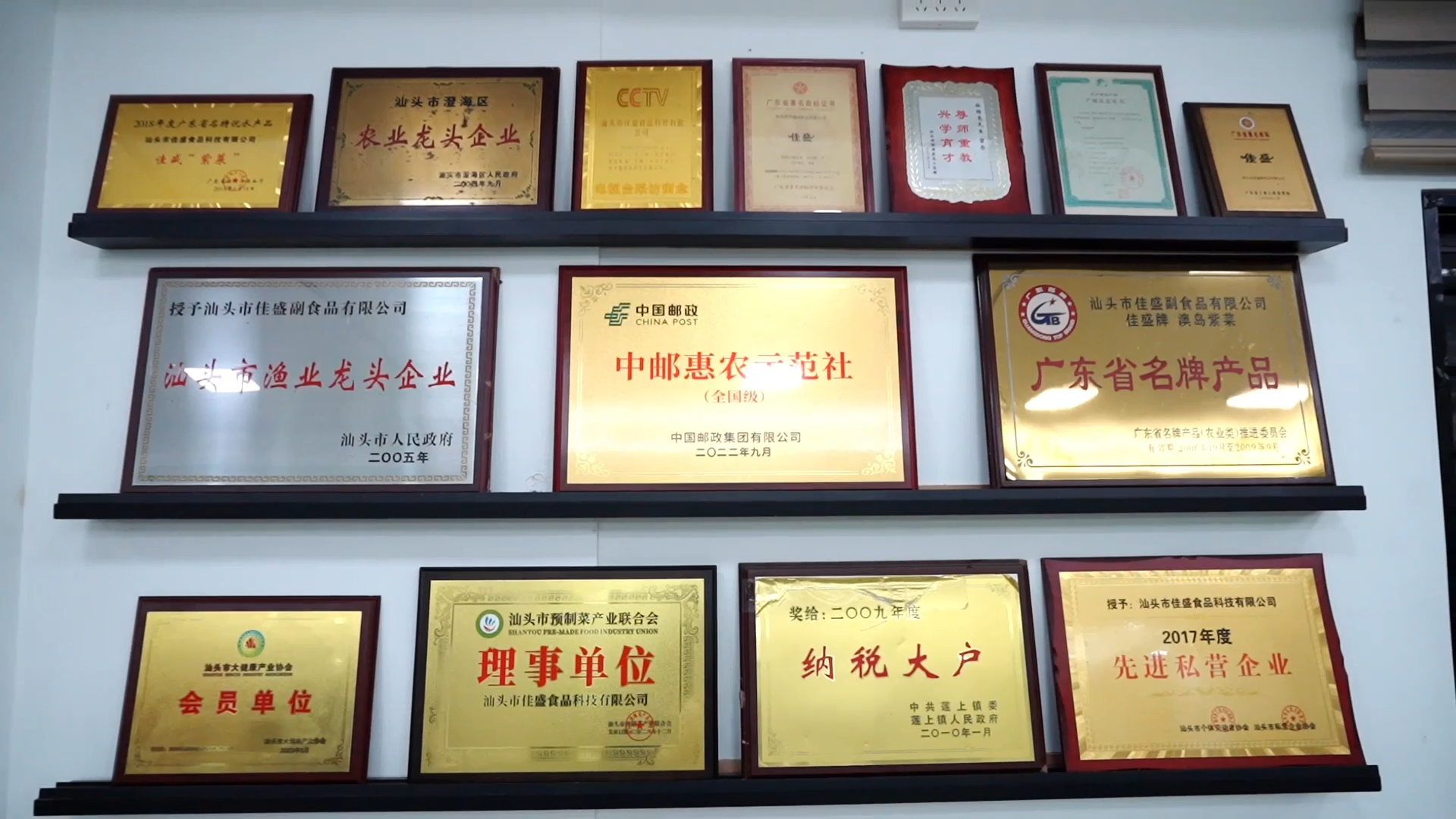 Company Profile