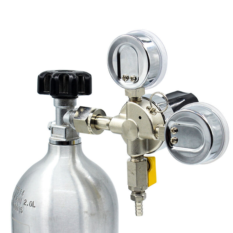 Factory High-End Silver Primary CO2 Regulator Wholesale Pressure Reducer for Beer for Carbon Dioxide Management