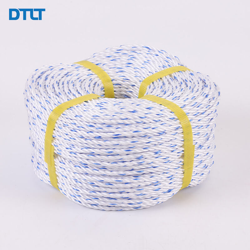 What Types of Lobster Rope Are Best for Different Conditions?