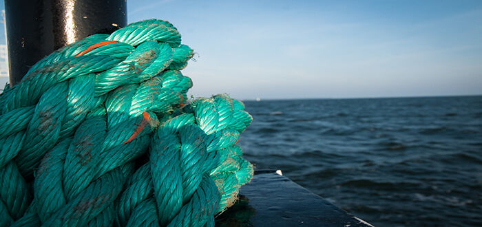 Ask Anything about Plastic Ropes – Expert Guidance for Your Purchase