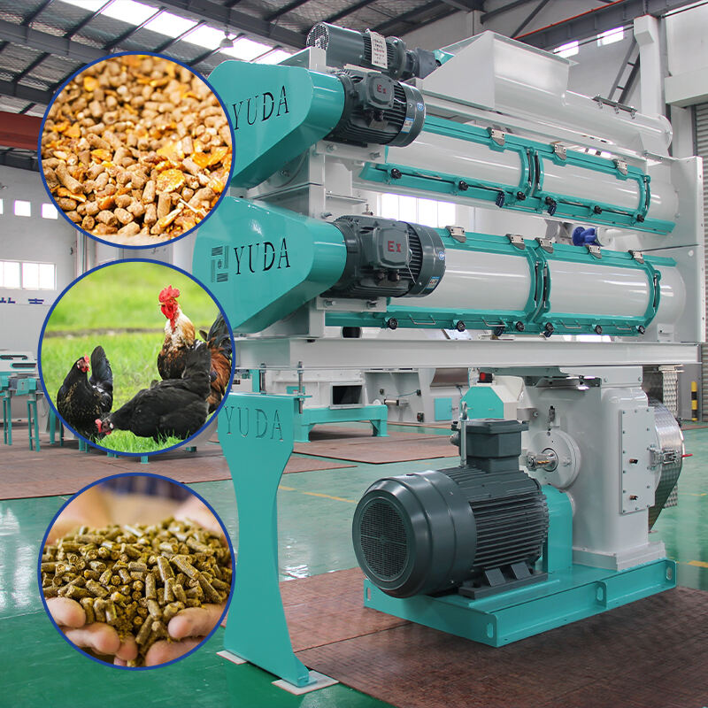 Cách cải thiện độ bền và chất lượng đầu ra của viên thức ăn chăn nuôi