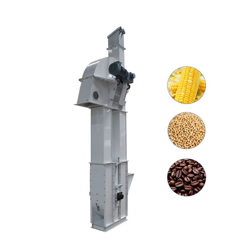 Why Bucket Conveyors Are Essential for Grain and Feed Processing