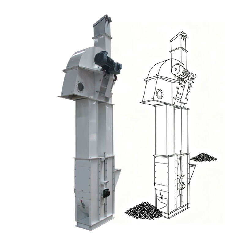 Ленточный элеватор для порошкообразных и гранулированных материалов: ключевые различия