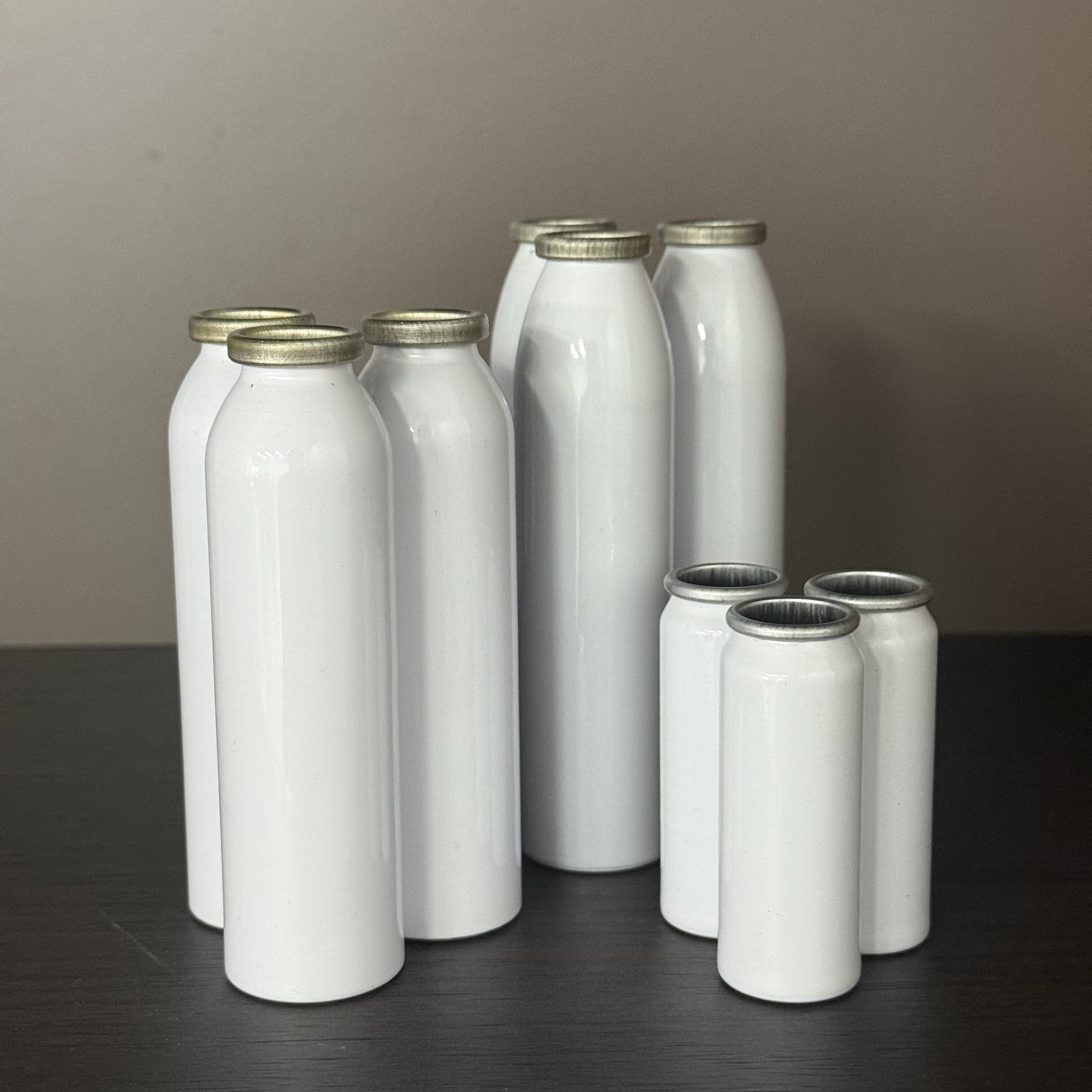 Environmental Sustainability and Economic Benefits