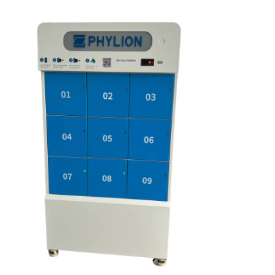 What Are the Challenges of Implementing Battery Swap Systems