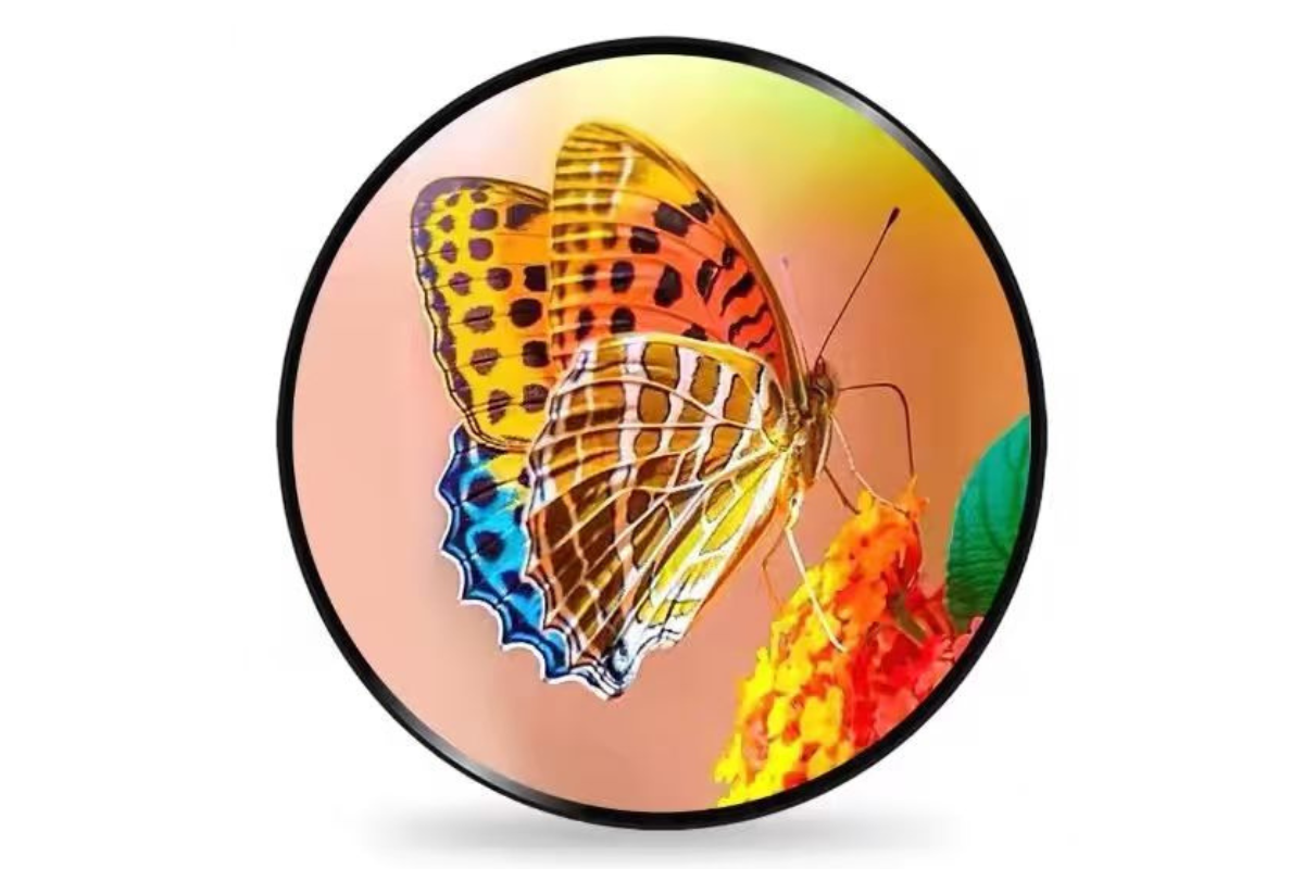 P2.5 Circular LED Display 1.5 Diameter Ship To USA