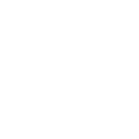 Comprehensive Technical Expertise