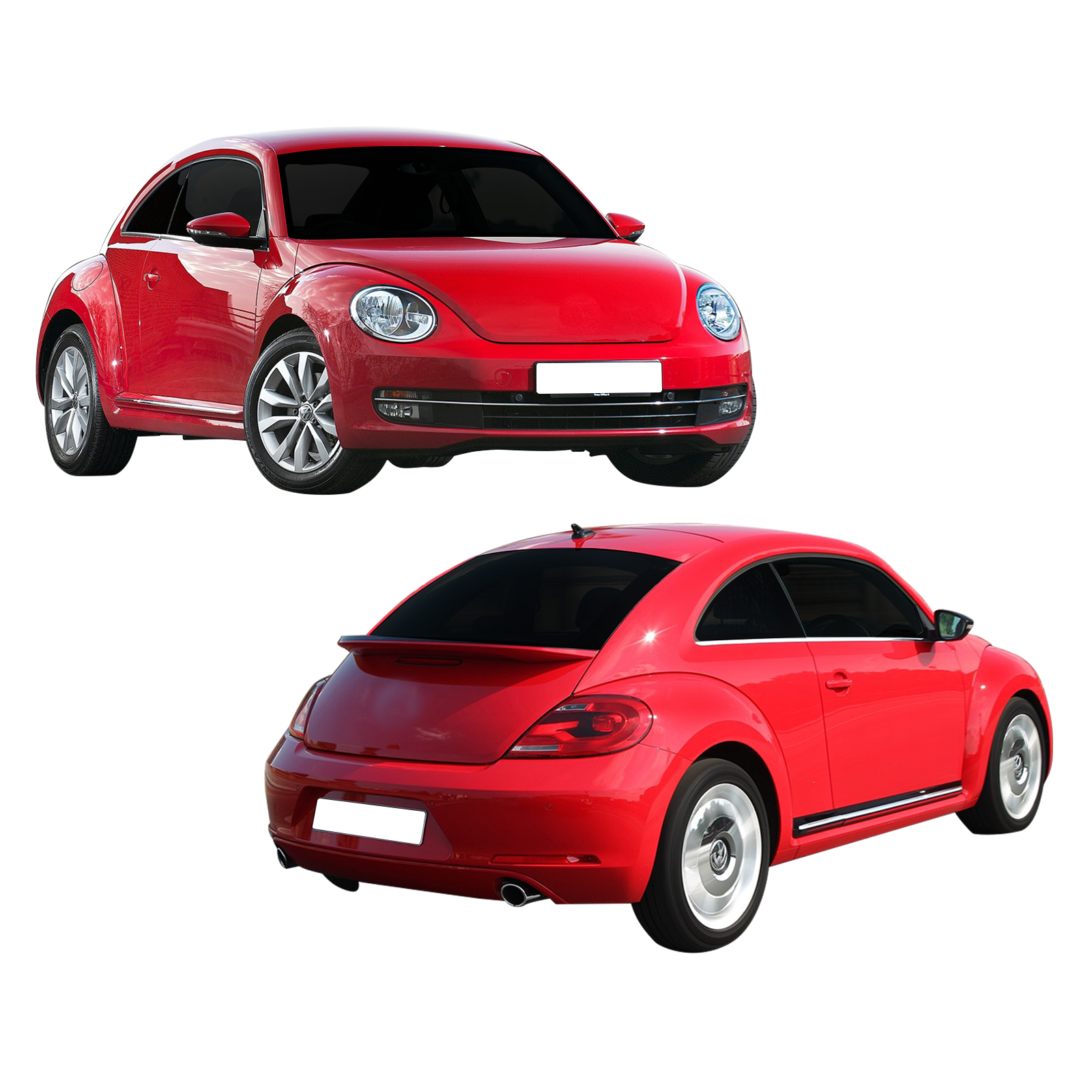 Beetle-2011-16