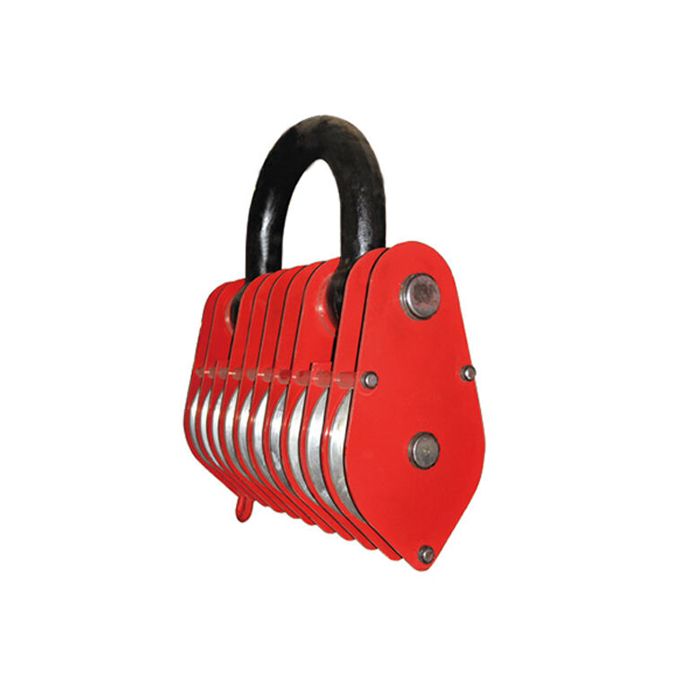 Ten-wheeled lifting ring pulley