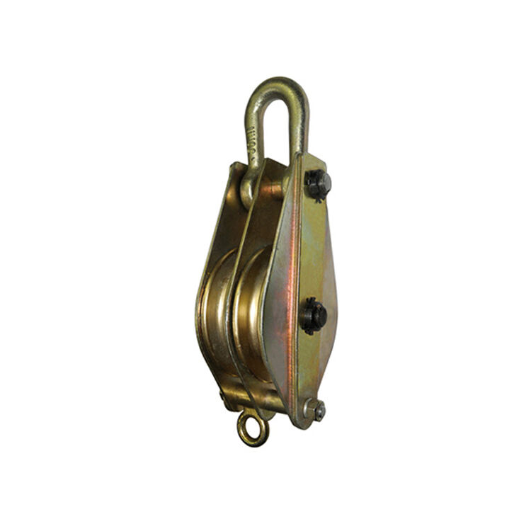 Double-wheeled lifting ring type power pulley