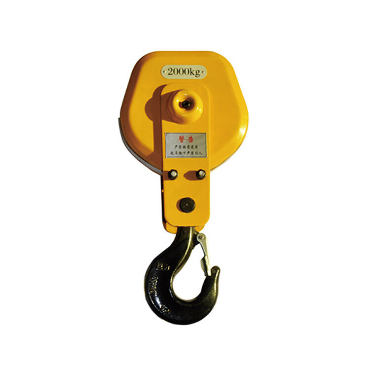 European style electric hoist lower hook