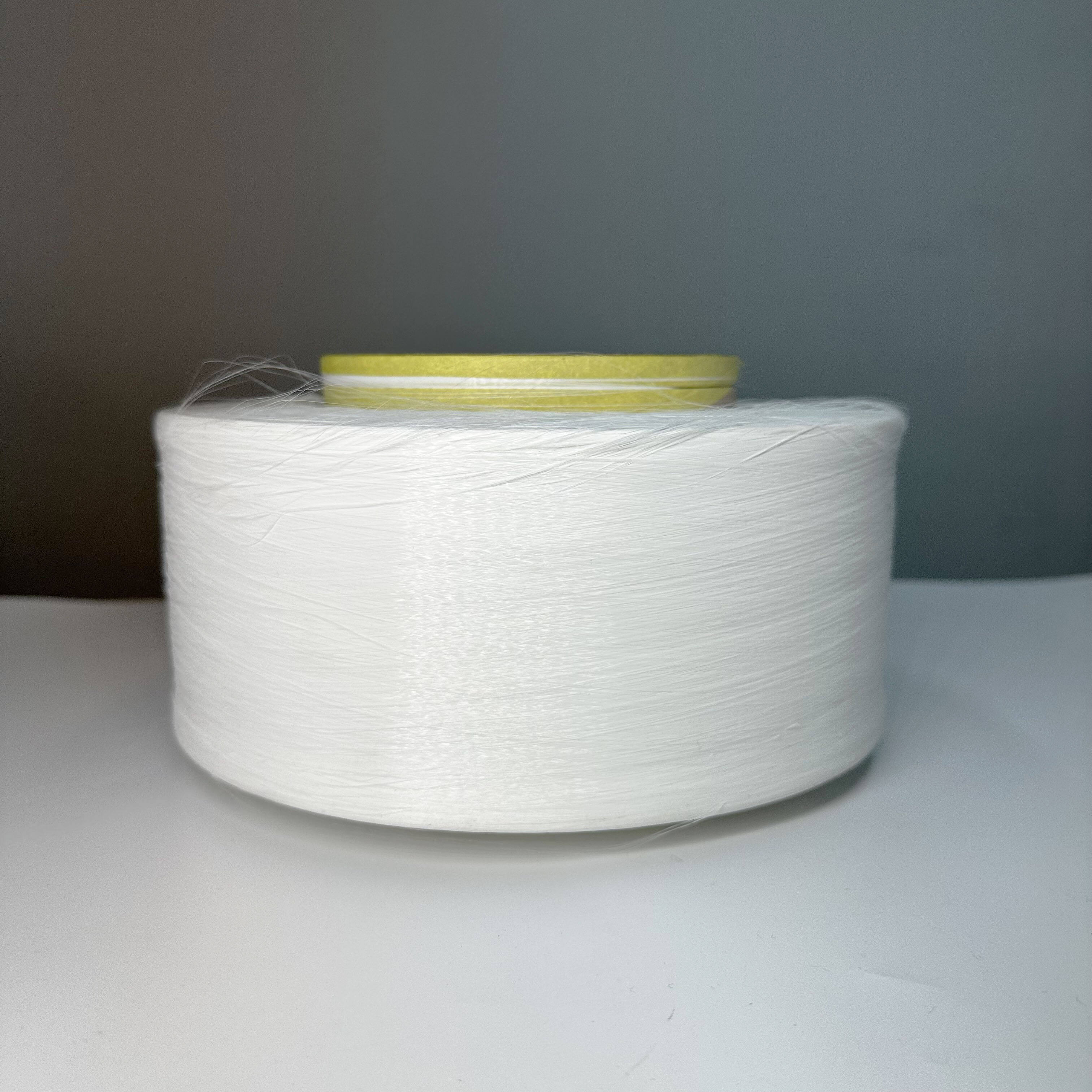 100%Recycled Polyester DTY(Raw White)