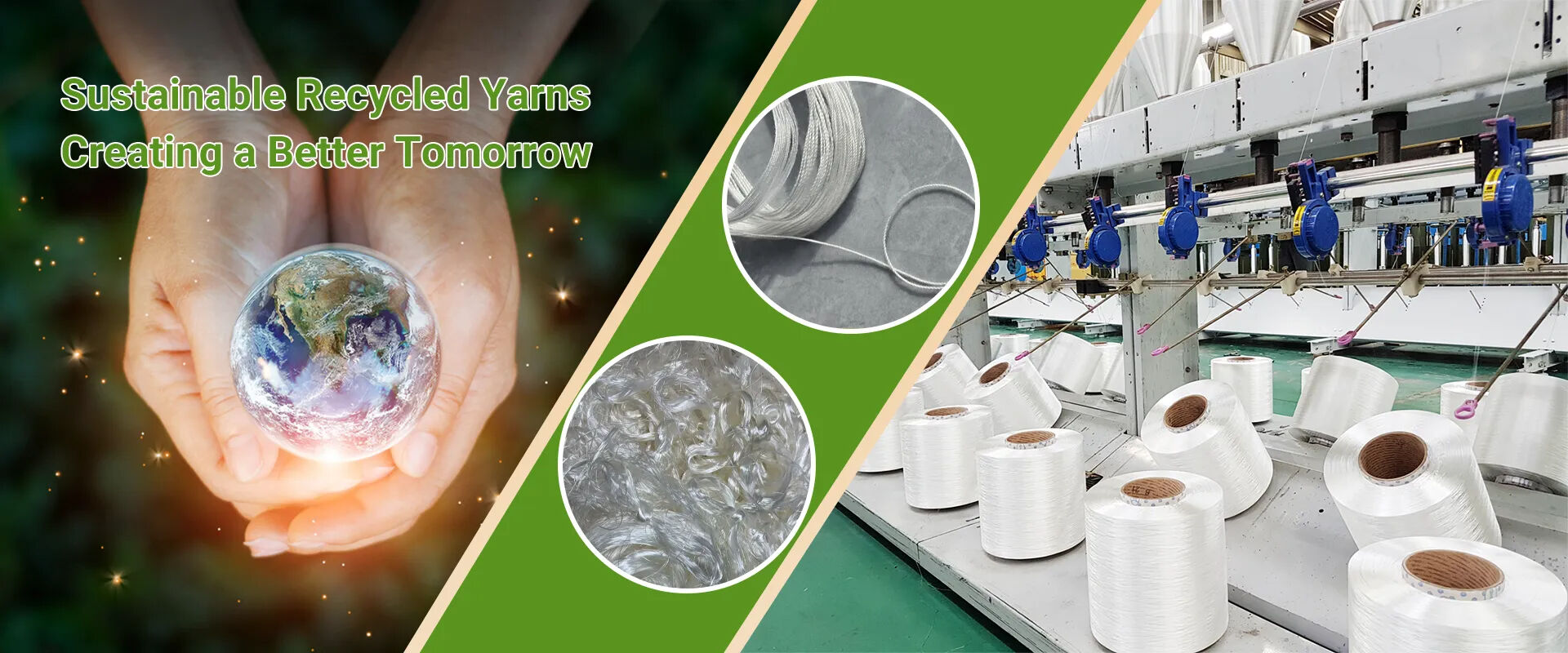 Sustainability Is Not Just a Slogan — It’s Shenmark’s Core Philosophy