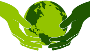 Sustainability Without Compromise: Achieving Both Eco-Friendliness and Performance