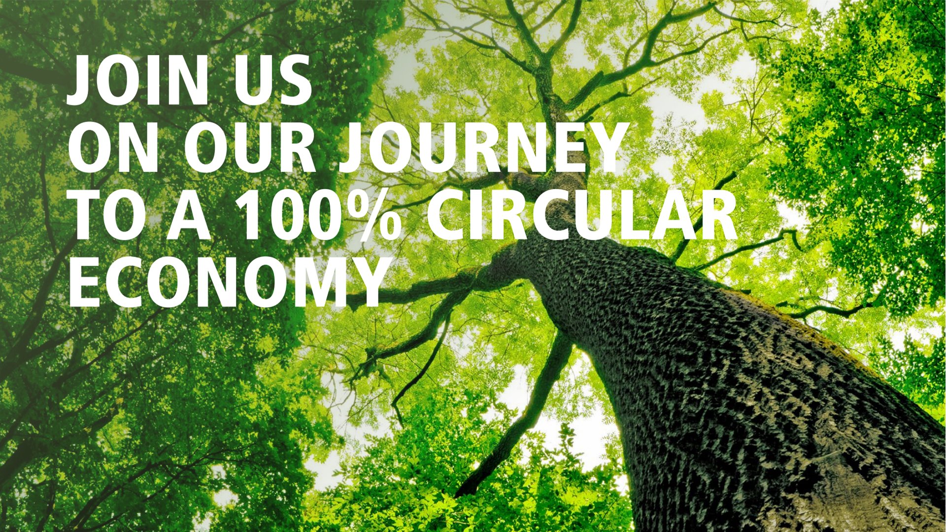 เส้นด้ายเย็บผ้าโพลีเอสเตอร์รีไซเคิลจากขวดพีอีที: นวัตกรรมเพื่อความยั่งยืนโดยเทคโนโลยี SHENMARK