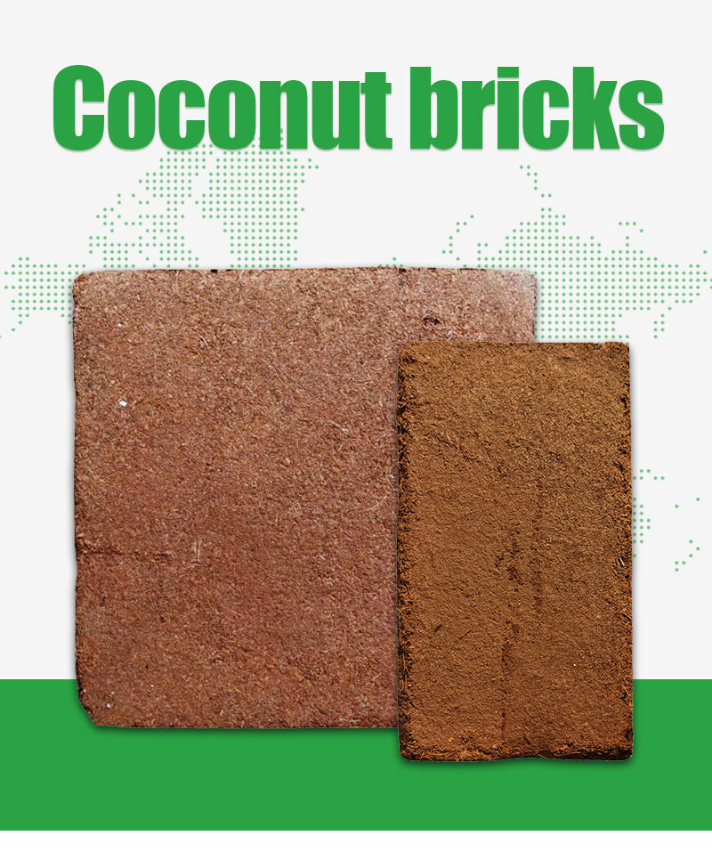 800椰砖_03.jpg