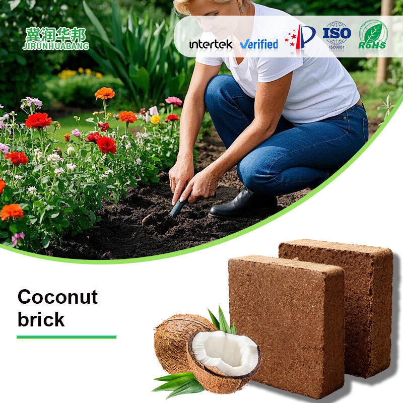 Katta hajmda Kokos kalami sotuvchi Dewatering Cocopeat Block 5kg Low ec Noqislangan Kokos Ko'r Peat Brick O'sish Narxi sotuvda