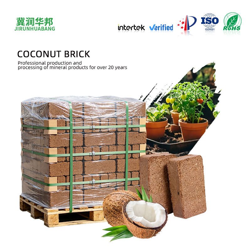 650 Gramm va 5 Kilogramm Hortikultura Kokos Ko'r Brick sotuvda