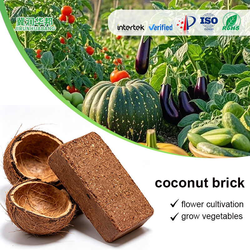 Low Salt Coco Brick Succulent Orchid Vegetable Seedling Nutrient Soil