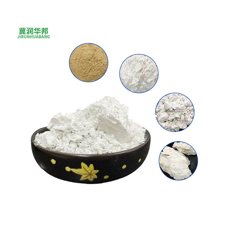 How to Choose the Best Quality Diatomite Powder for Your Wholesale Needs