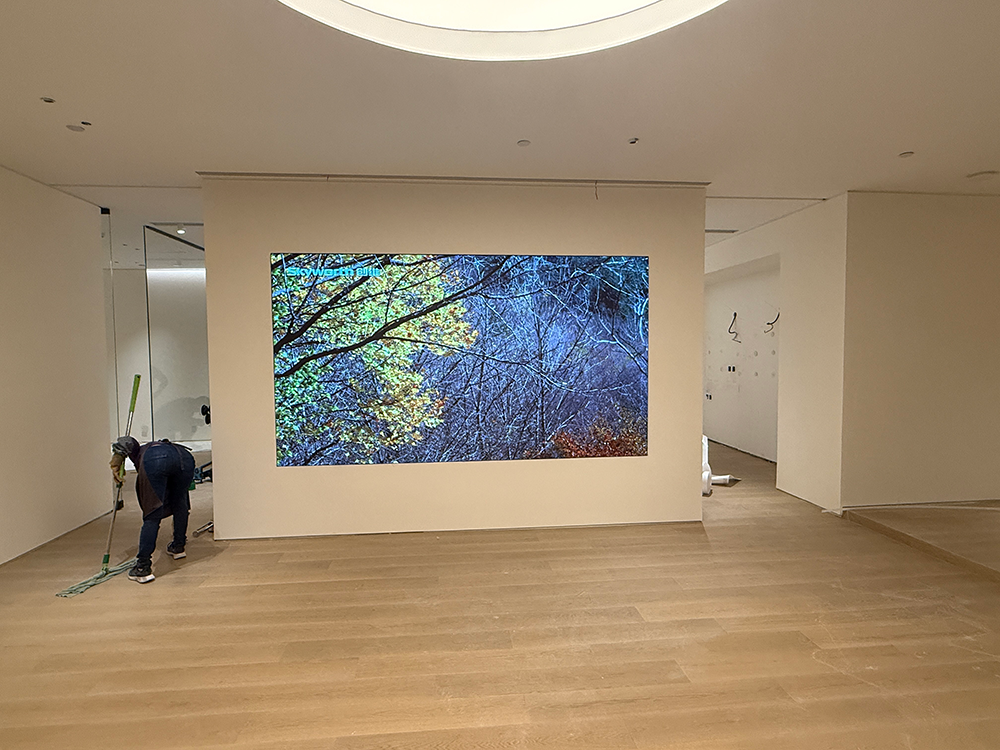 Harmonijna integracja: Ekran LED Skyworth przekształca wystrój wnętrz w salonie Changzhou Red Star Macalline